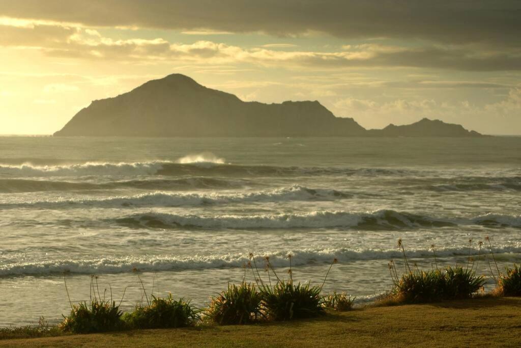 Cape South Estate - International Award-Winning Country Estate With Pacific Views Havelock North Exterior foto